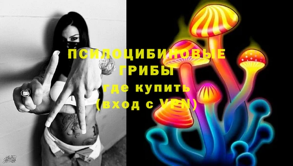 меф Коряжма