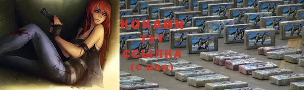 ECSTASY Костерёво