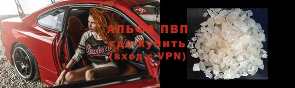 ПСИЛОЦИБИНОВЫЕ ГРИБЫ Корсаков