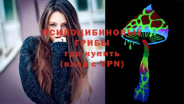 ECSTASY Костерёво