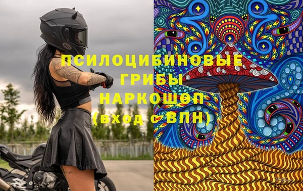 ПСИЛОЦИБИНОВЫЕ ГРИБЫ Корсаков