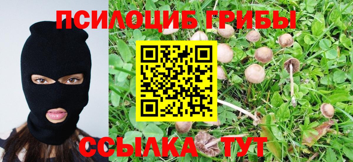 Галлюциногенные грибы Cubensis  Псилоцибиновые грибы Cubensis  Вход с VPN  Арзамас 