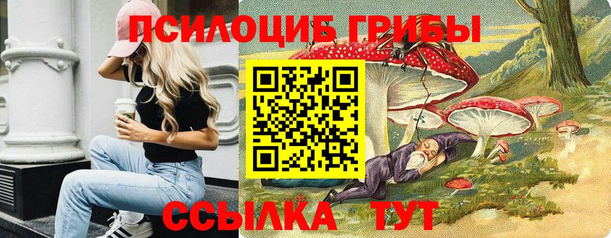 Лсд 25 Арзамас